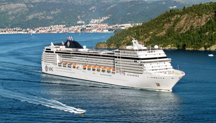 MSC13014537